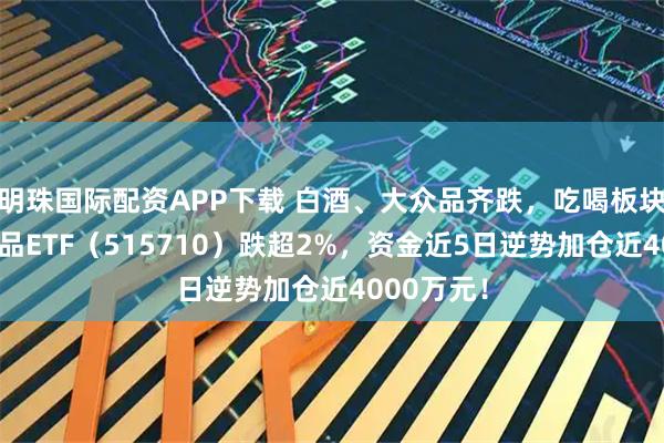 明珠国际配资APP下载 白酒、大众品齐跌，吃喝板块重挫！食品ETF（515710）跌超2%，资金近5日逆势加仓近4000万元！
