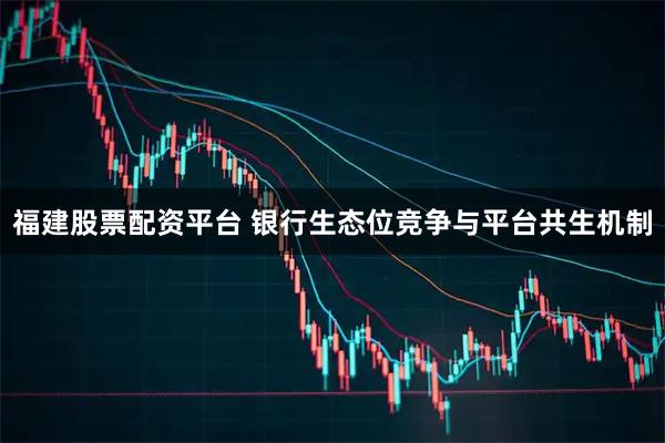 福建股票配资平台 银行生态位竞争与平台共生机制