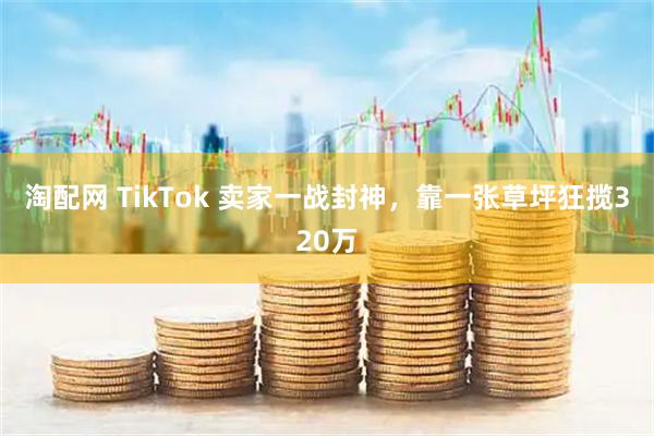淘配网 TikTok 卖家一战封神，靠一张草坪狂揽320万